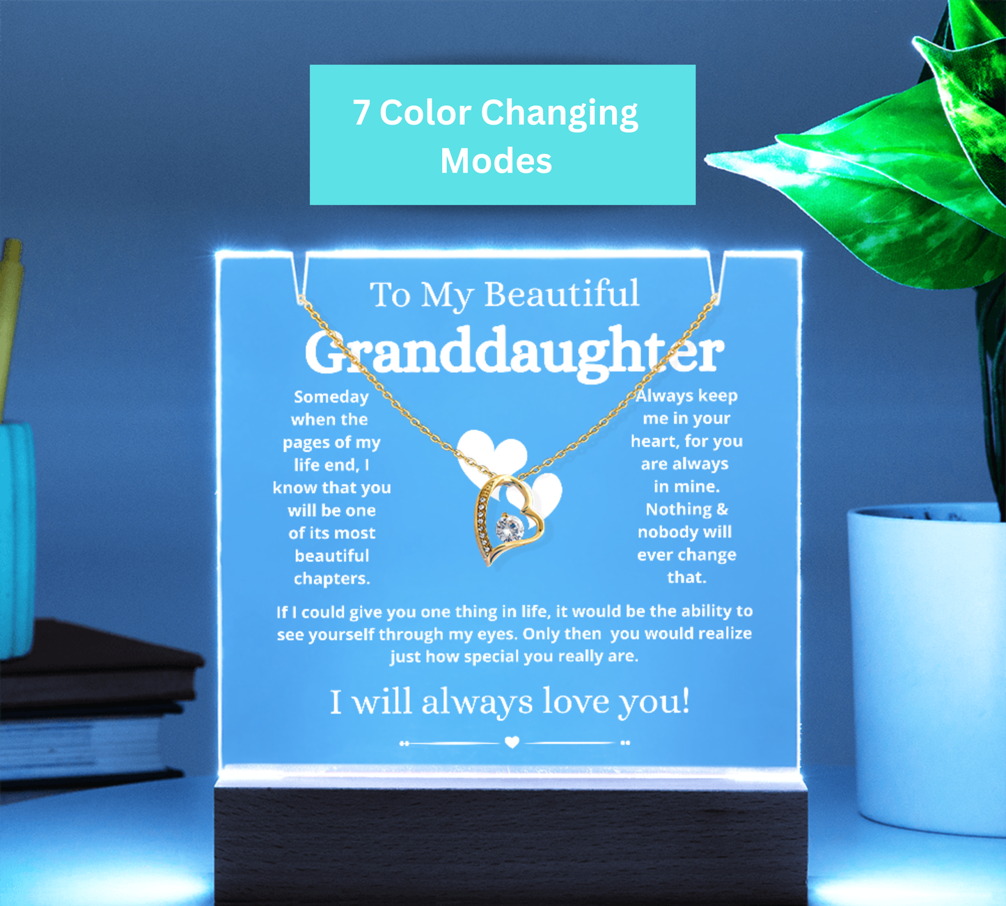 To My Beautiful Granddaughter Necklace and Acrylic Keepsake