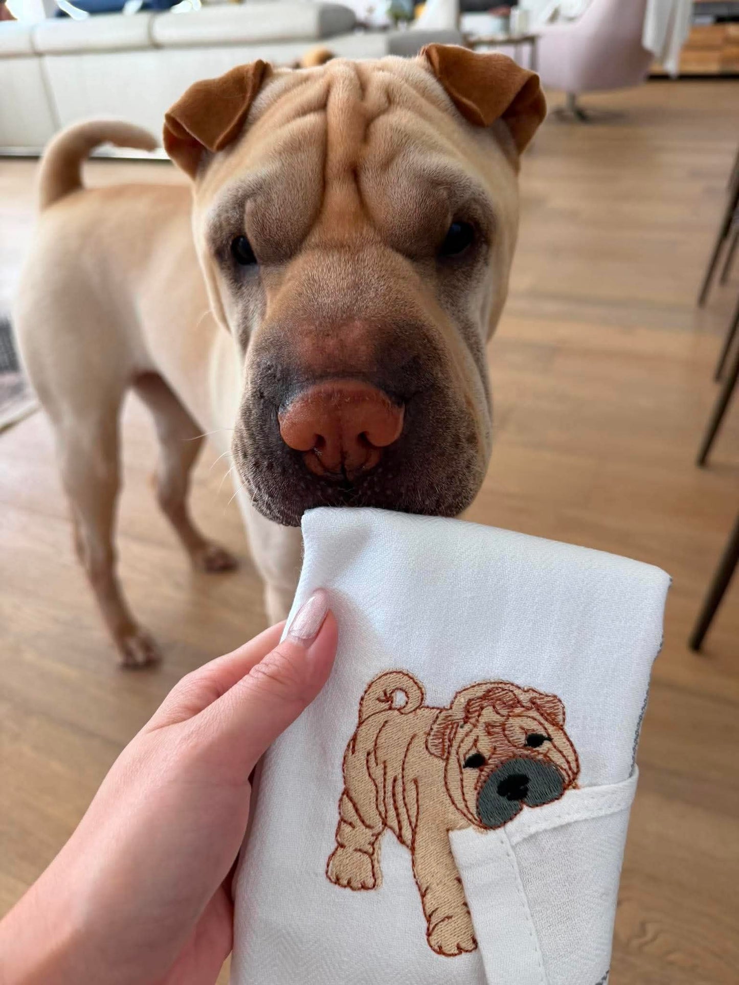 Mischievous Puppy Embroidered Kitchen Towel